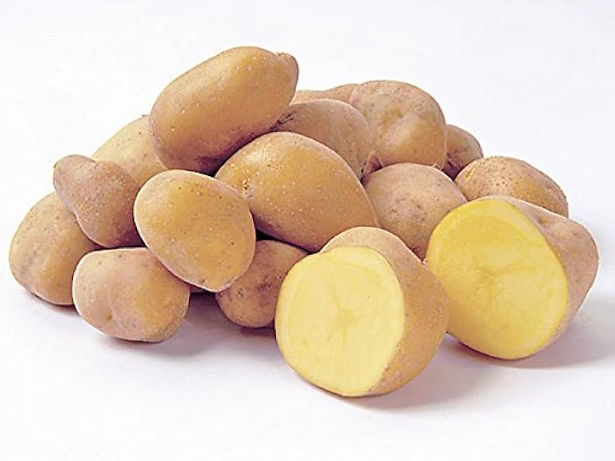 インカのめざめ Amazon.co.jp: インカのめざめ 1.5kg(サイズ無選別) お試し用